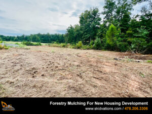 Forestry Mulching For Home Development