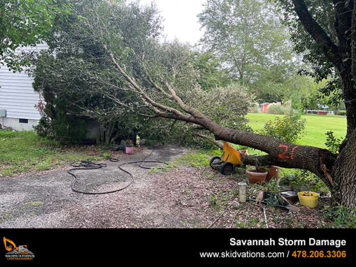 Storm Damage Clean Up