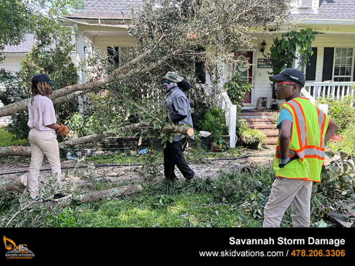 Storm Damage Clean Up