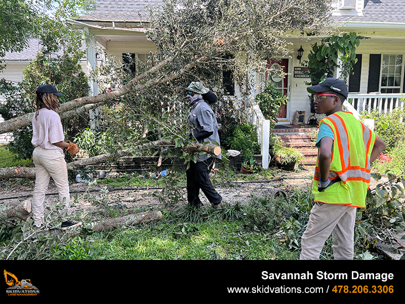 Savannah Storm Damage Clean Up