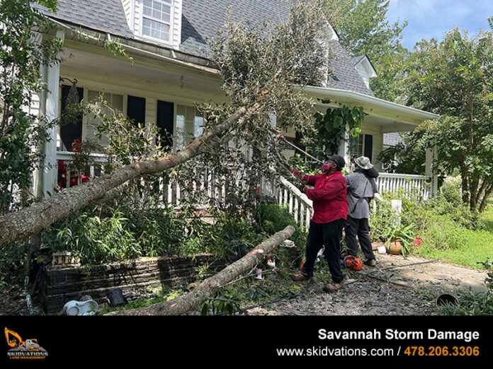 Storm Damage Clean Up