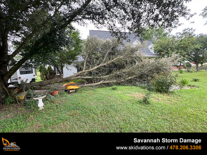 Storm Damage Clean Up