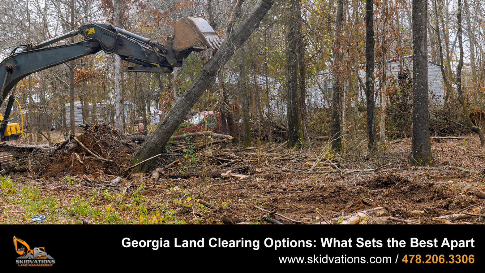 Georgia Land Clearing