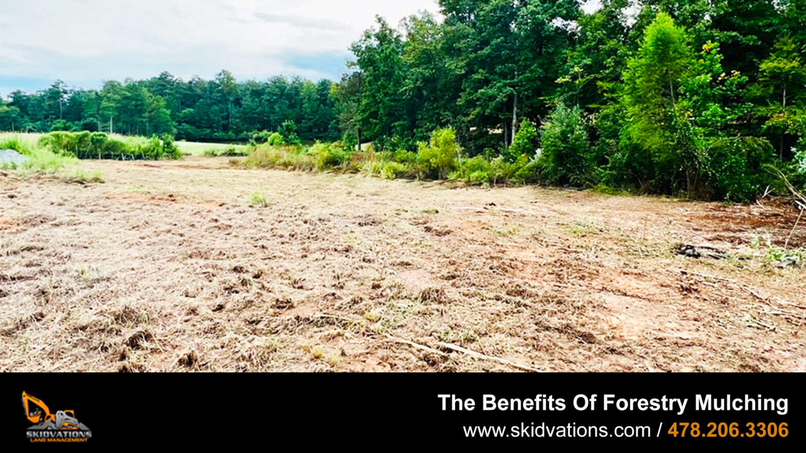 The Benefits Of Forestry Mulching