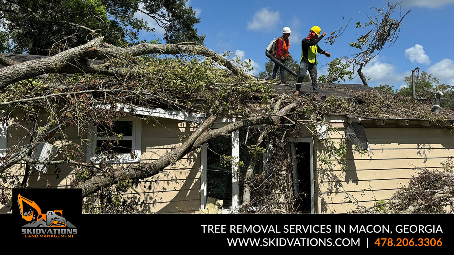 Tree Removal Services in Macon, Georgia